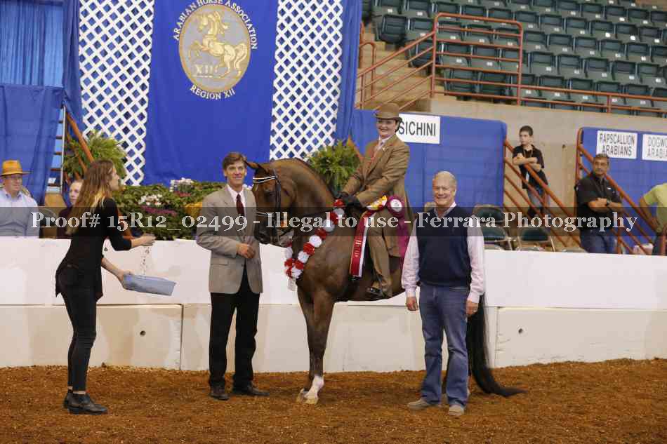 Proof 15R12_02499