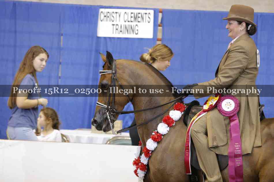 Proof 15R12_02500