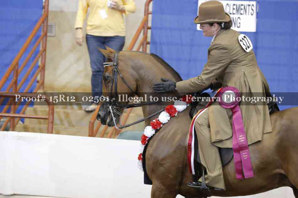 Proof 15R12_02501