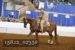 15R12_02356 proof