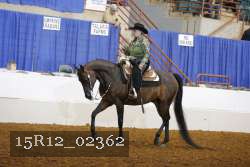 15R12_02362 proof