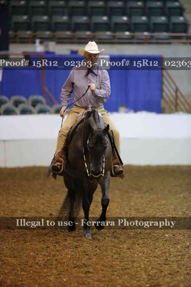 Proof 15R12_02363