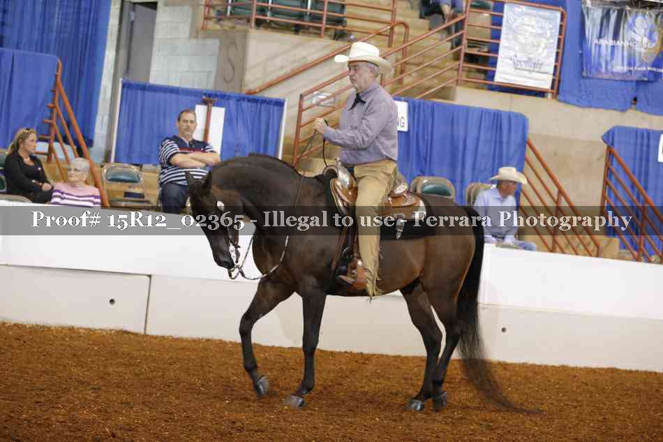 Proof 15R12_02365