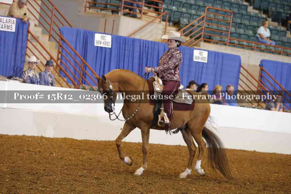 Proof 15R12_02366