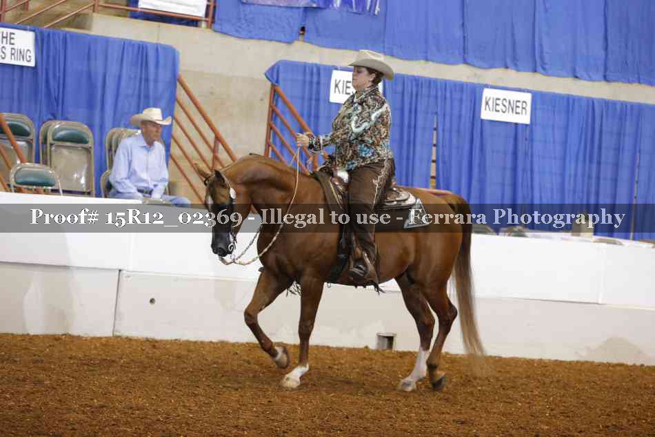 Proof 15R12_02369