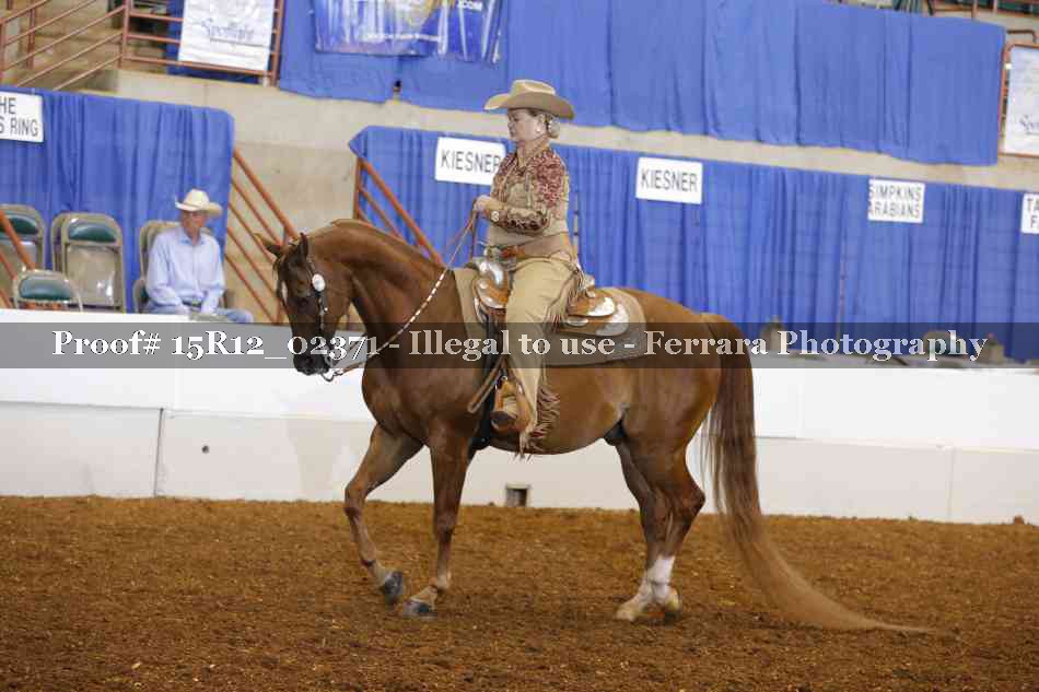 Proof 15R12_02371