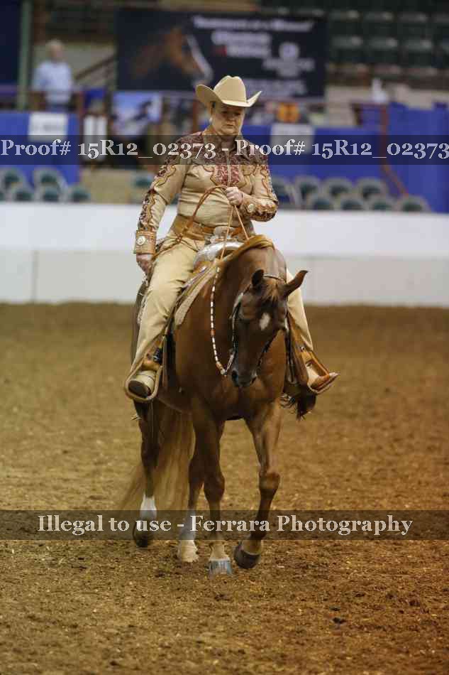 Proof 15R12_02373