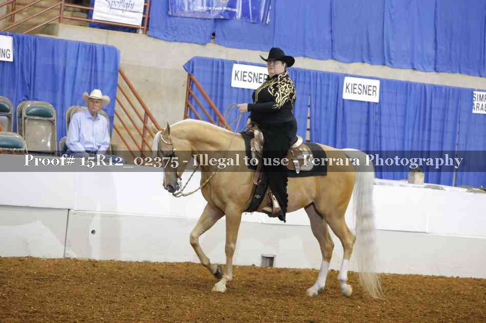 Proof 15R12_02375