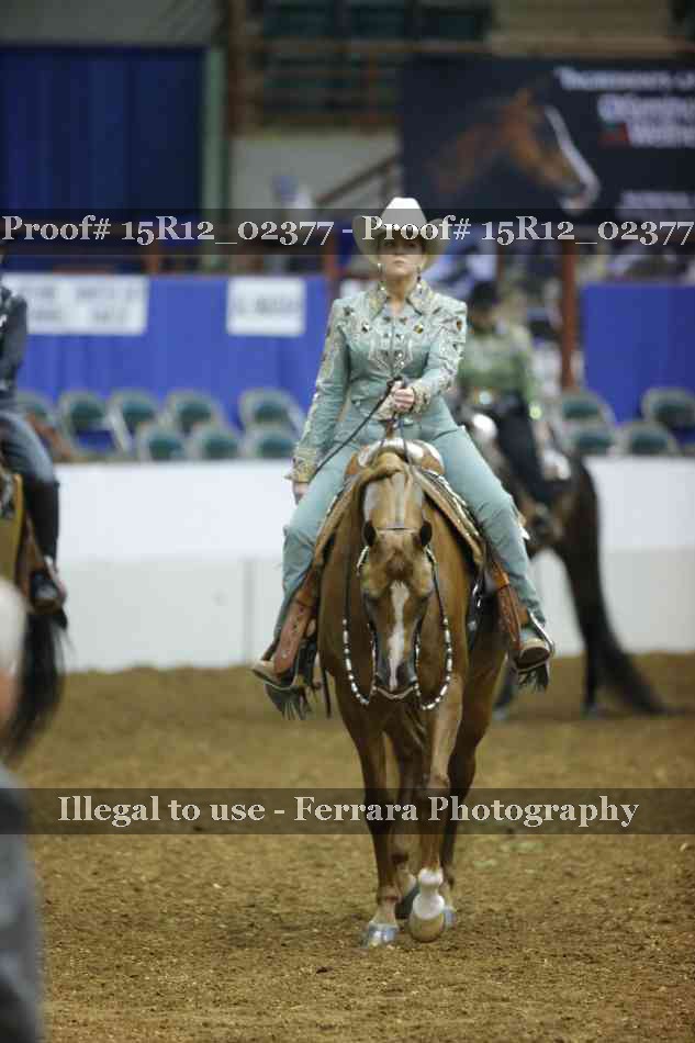 Proof 15R12_02377