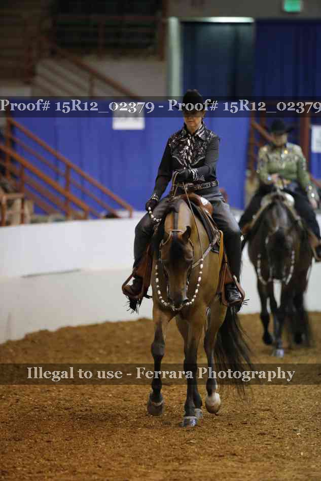Proof 15R12_02379