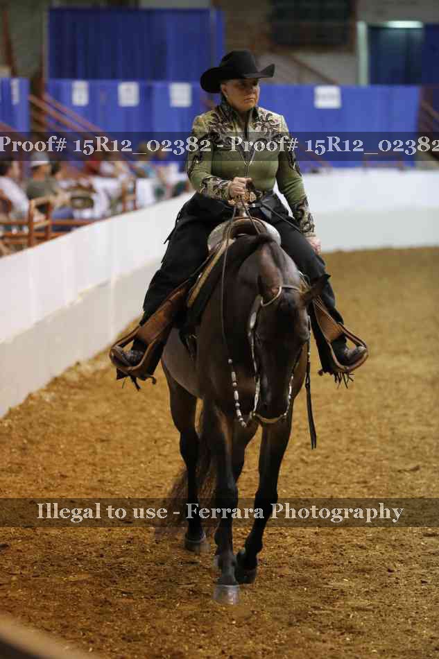 Proof 15R12_02382