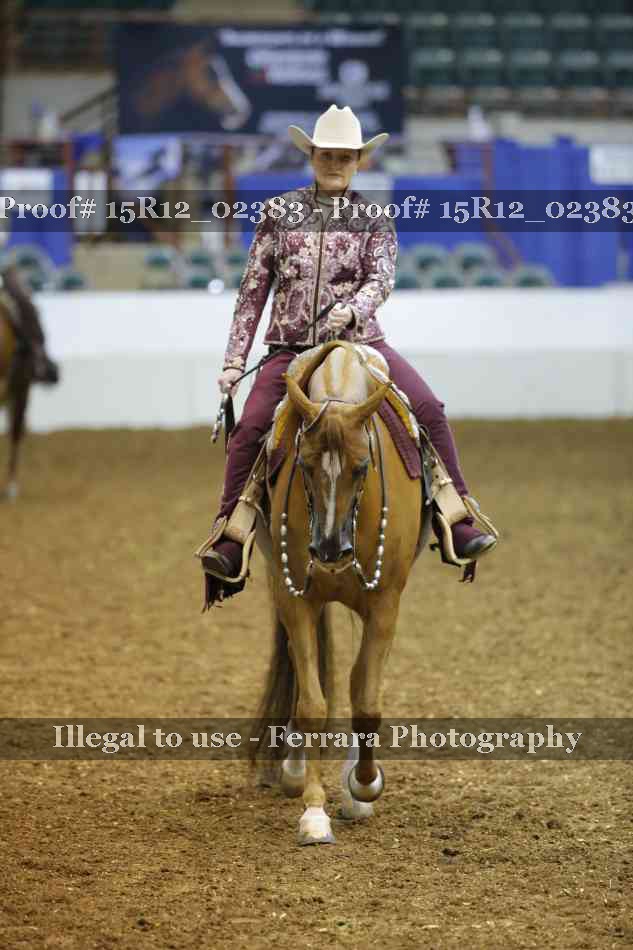 Proof 15R12_02383
