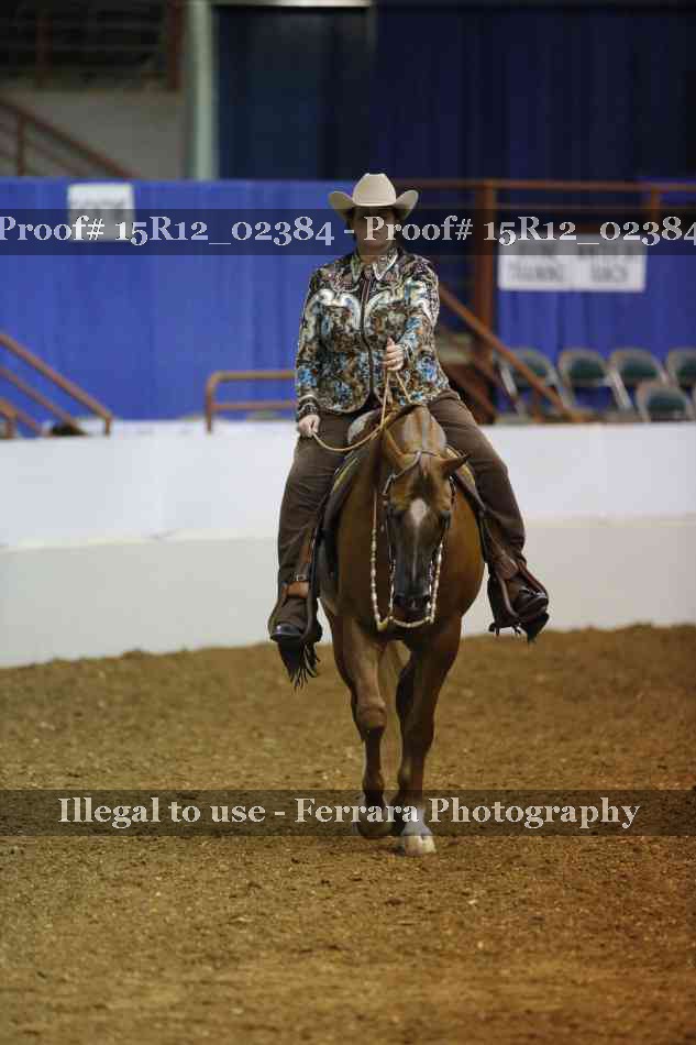Proof 15R12_02384