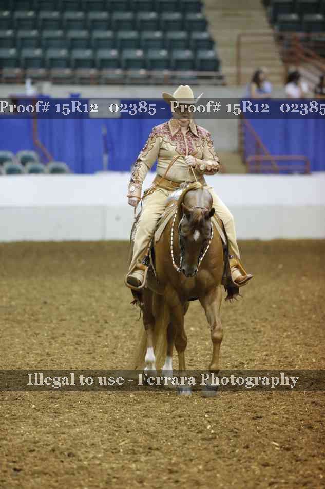 Proof 15R12_02385