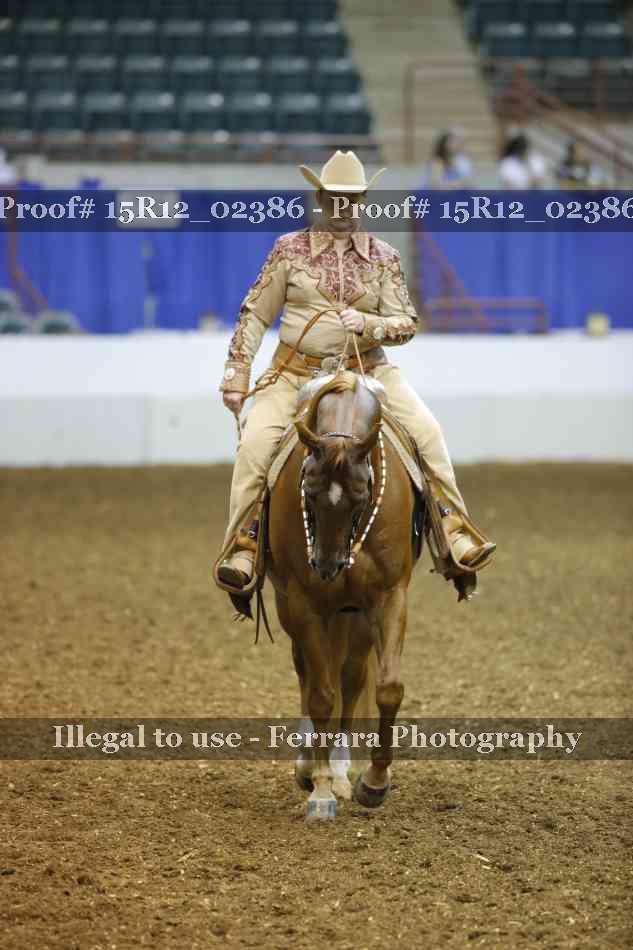 Proof 15R12_02386