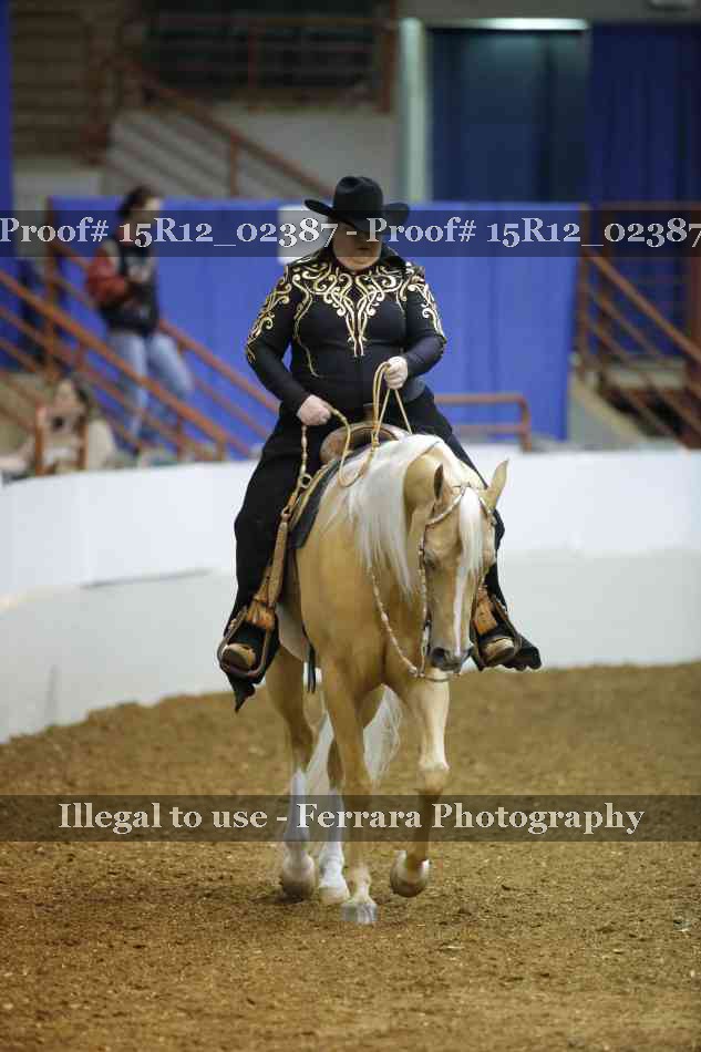 Proof 15R12_02387