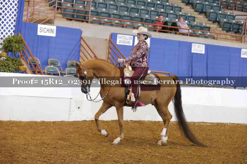 Proof 15R12_02391