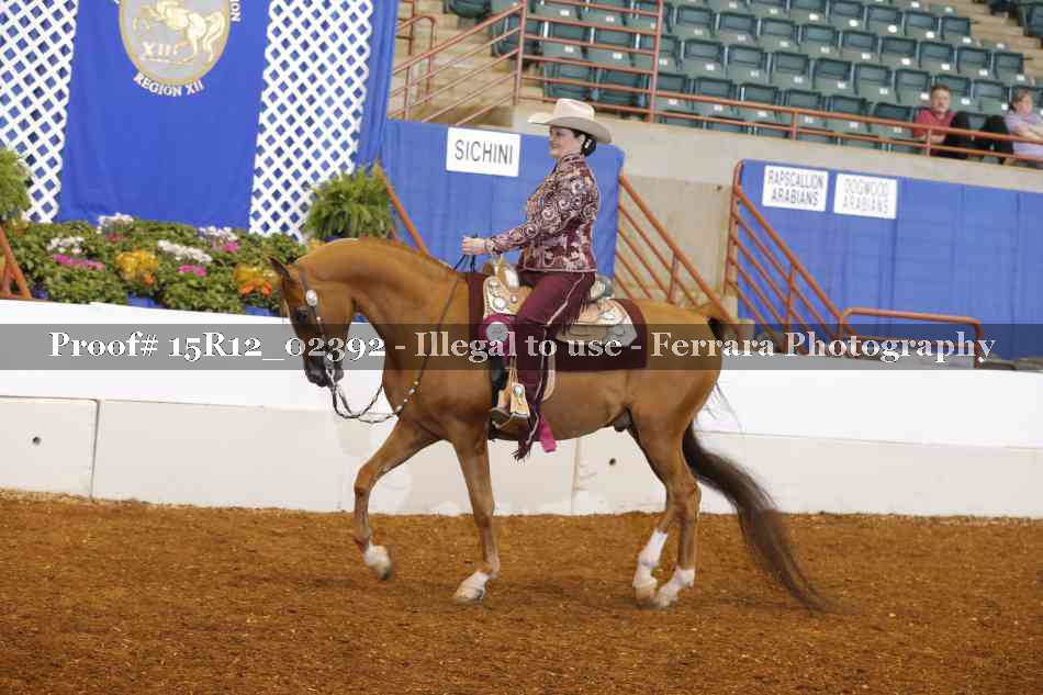 Proof 15R12_02392