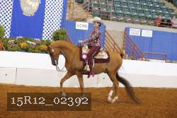 15R12_02392 proof