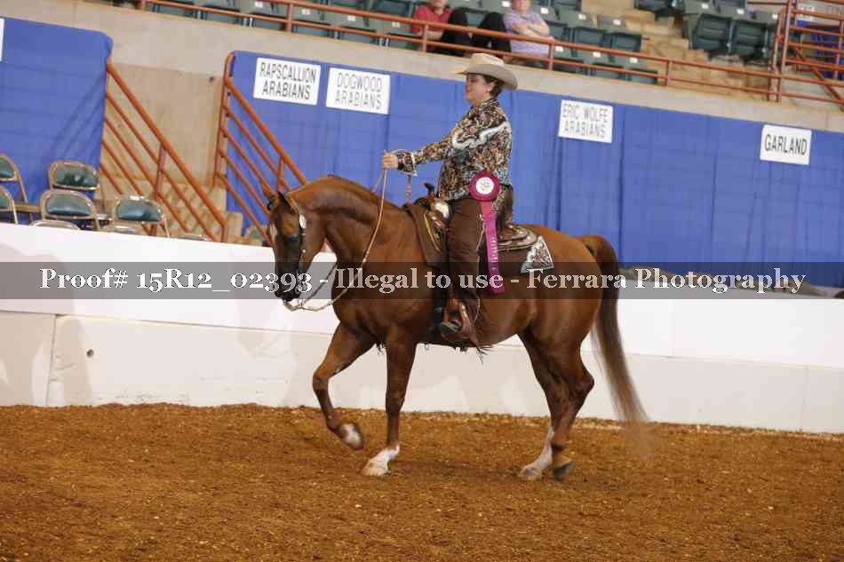 Proof 15R12_02393