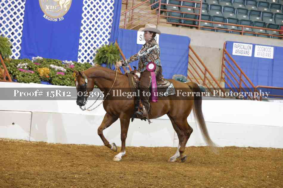 Proof 15R12_02395