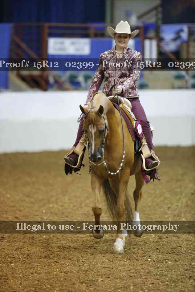 Proof 15R12_02399