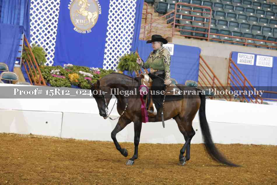 Proof 15R12_02401