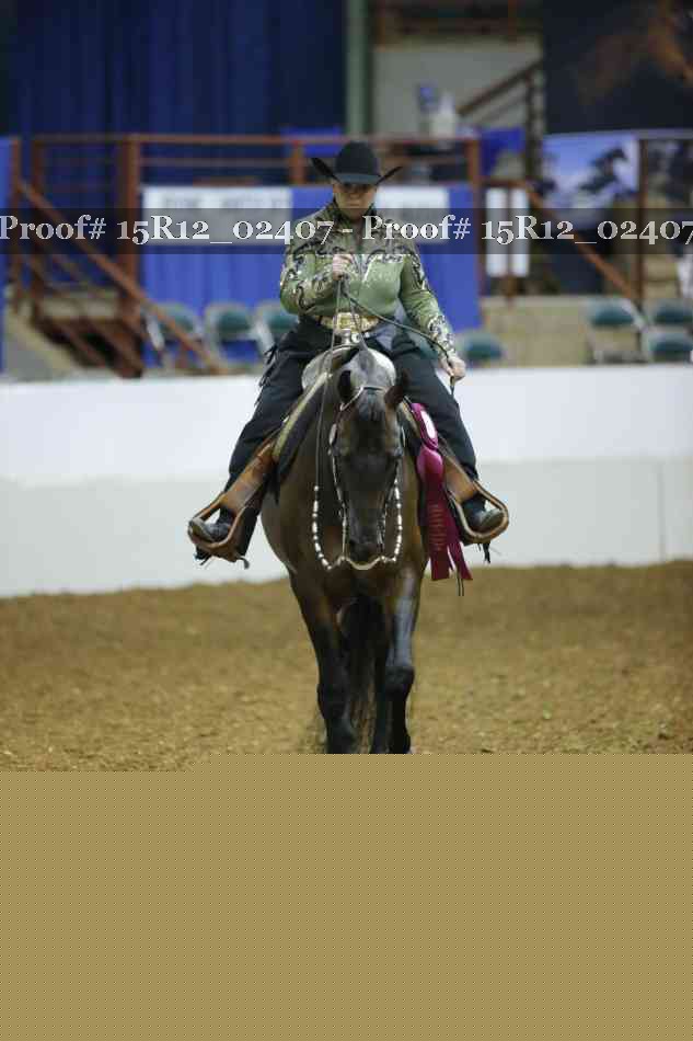 Proof 15R12_02407