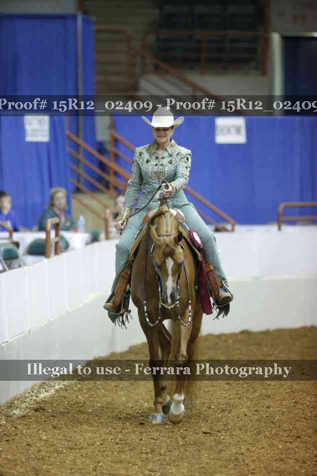 Proof 15R12_02409