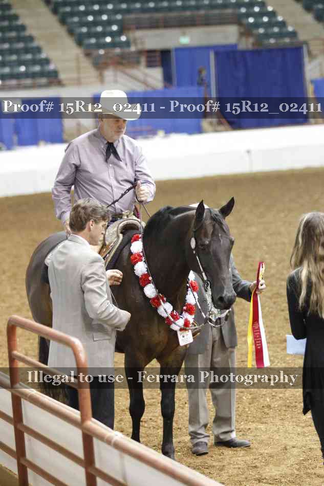 Proof 15R12_02411