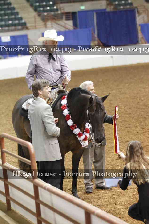 Proof 15R12_02413