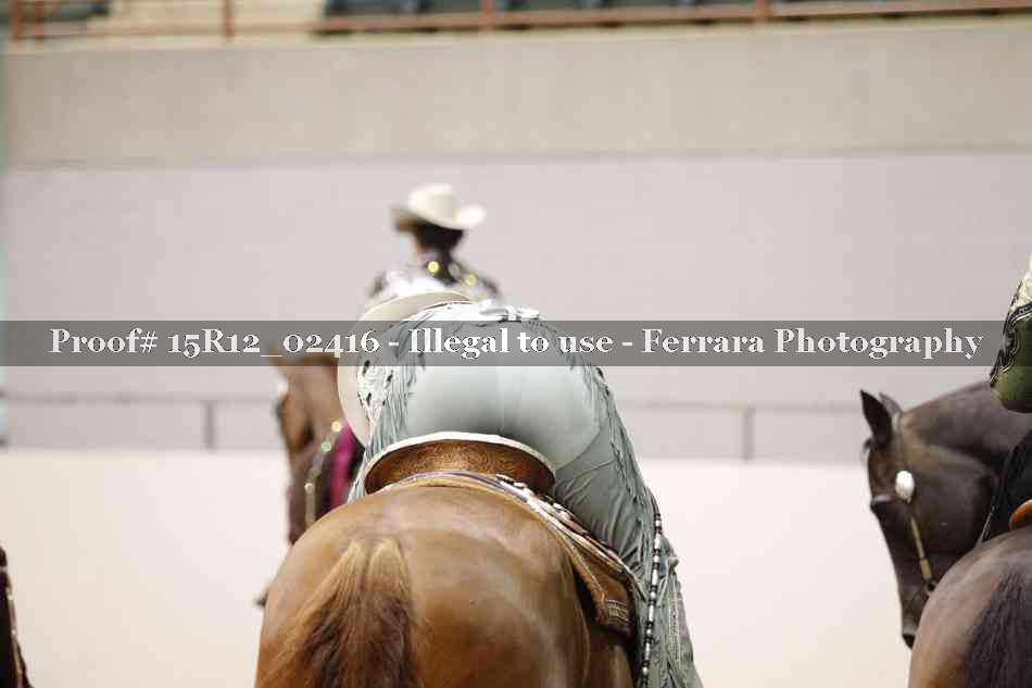 Proof 15R12_02416