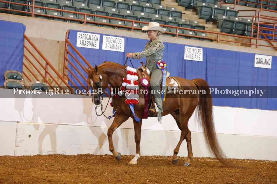 Proof 15R12_02428