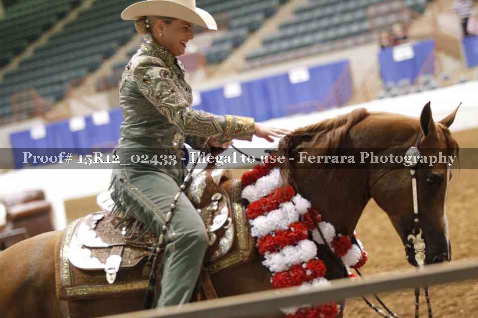 Proof 15R12_02433