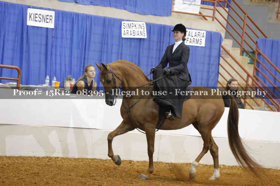 Proof 15R12_08395