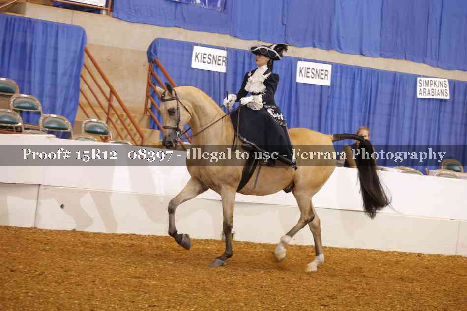 Proof 15R12_08397