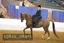 15R12_08401 proof
