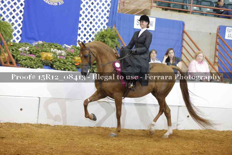 Proof 15R12_08413