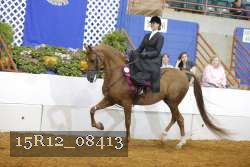 15R12_08413 proof