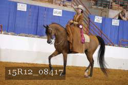 15R12_08417 proof