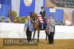 15R12_08448 proof