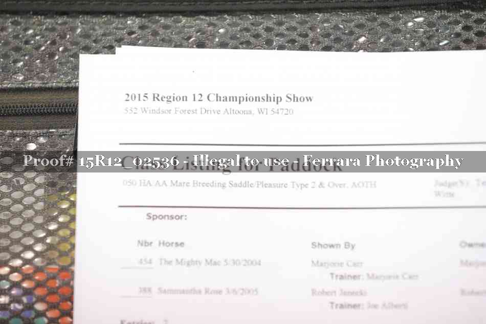 Proof 15R12_02536