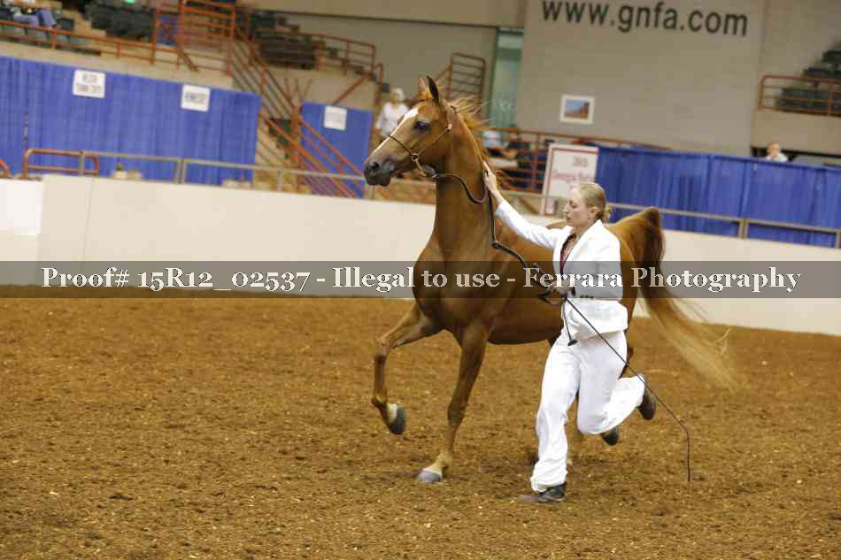 Proof 15R12_02537