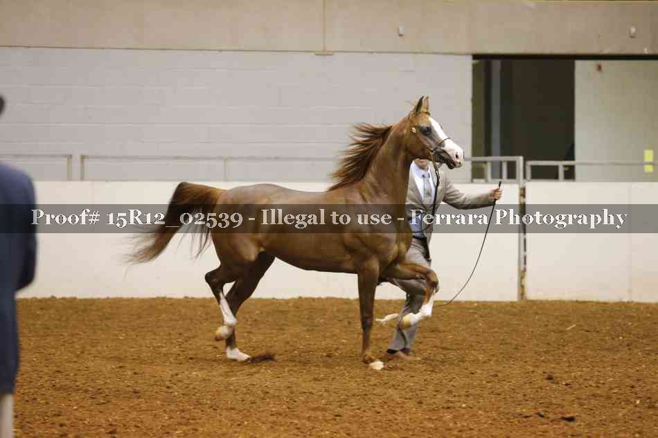 Proof 15R12_02539