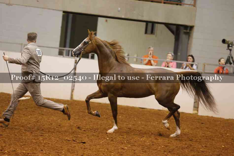 Proof 15R12_02540