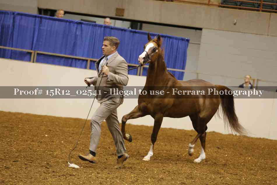 Proof 15R12_02541