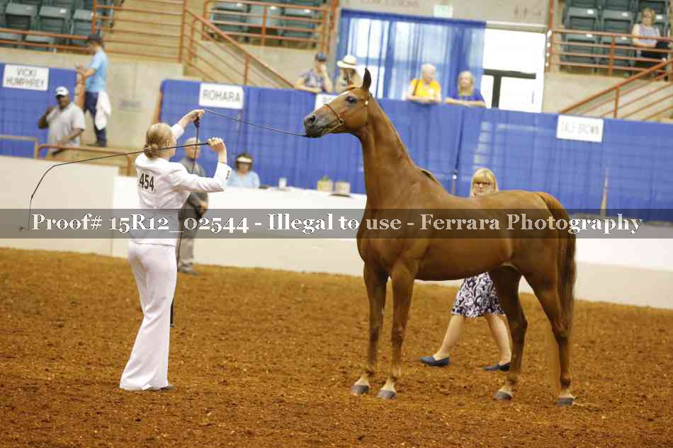 Proof 15R12_02544