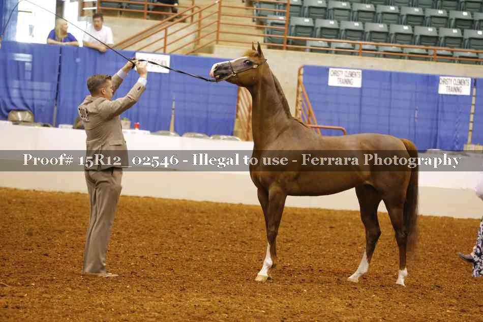 Proof 15R12_02546