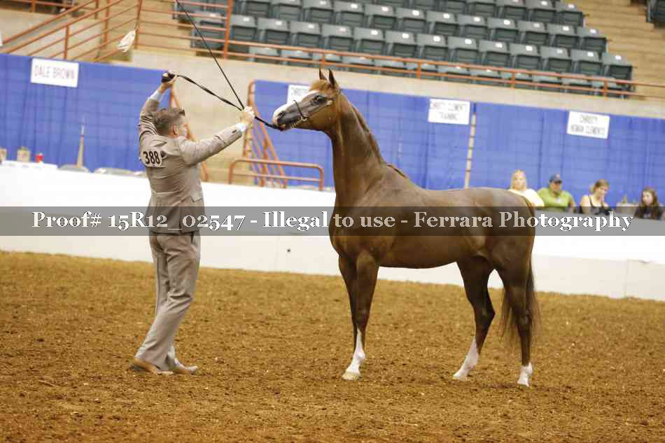 Proof 15R12_02547