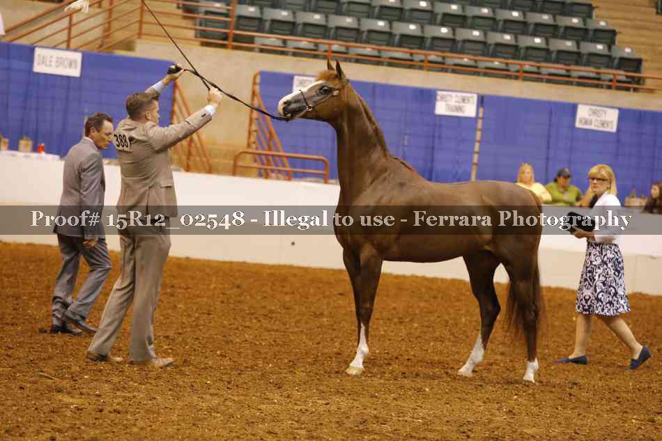 Proof 15R12_02548